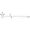  N-Biotinyl-12-aminododecanoic 