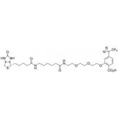  2-[2-[2-[2-[6-(Biotinylamino 