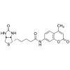  N-d-Biotinyl-7-amino-4-methyl 