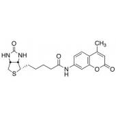  N-d-Biotinyl-7-amino-4-methyl 