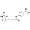  N-Biotinyl p-Aminophenyl 