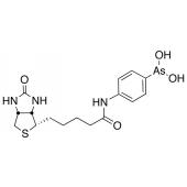  N-Biotinyl p-Aminophenyl 