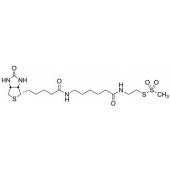  N-Biotinylcaproylaminoethyl 