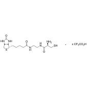  N-Biotinyl-N-cysteinyl Ethyl 