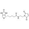  N-Biotinyl-N-maleimido-ethyl 