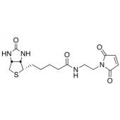  N-Biotinyl-N-maleimido-ethyl 