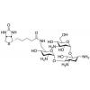  Biotinyl Tobramycin Amide 