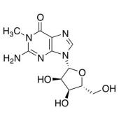  N1-Methylguanosine 