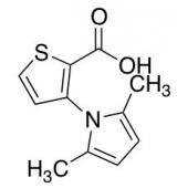  3-(2,5-Dimethyl-1H-pyrrol-1- 