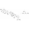  Benzamide Adenine Dinucleotide 