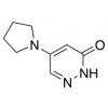  5-(1-Pyrrolidinyl)-3(2H)- 