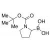  N-Boc-pyrrolidin-2-ylboronic 