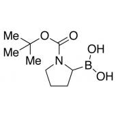  N-Boc-pyrrolidin-2-ylboronic 