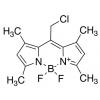  Bodipy 8-Chloromethane 