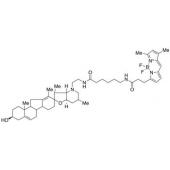  Bodipy Cyclopamine 