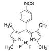  Bodipy Isothiocyanate 