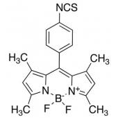  Bodipy Isothiocyanate 