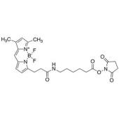  3-Bodipy-propanoylaminoca 