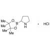  H-Boroproline Pinacol 