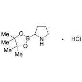  H-Boroproline Pinacol 