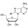  8-Bromo Adenosine 