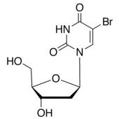  5-Bromo-2'-deoxyuridine 