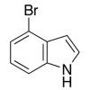  4-Bromoindole 