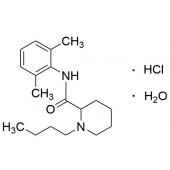  Bupivacaine Hydrochloride 