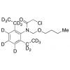  Butachlor-d13 (Major) 