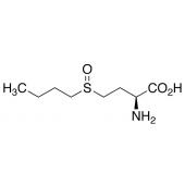  L-Buthionine Sulfoxide 