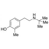  4-tert-Butylaminoethyl-2- 