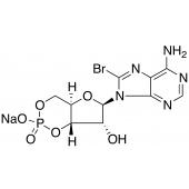  8-Bromo-cAMP Sodium Salt 