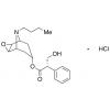  N-Butyl Nor Scopolamine 