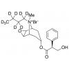  N-Butylscopolammonium Bromide- 