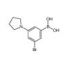  3-Bromo-5-pyrrolidinophenyl 