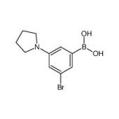  3-Bromo-5-pyrrolidinophenyl 