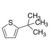  2-(tert-Butyl)thiophene 