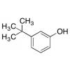  3-tert-Butylphenol 