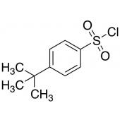  4-tert-Butylbenzenesulfonyl 