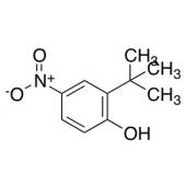  2-(tert-Butyl)-4-nitrophenol 