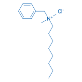 N-Benzyl-N,N-dimethyloctan-1- 