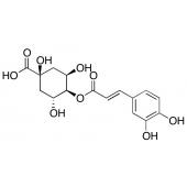  4-O-Caffeoylquinic Acid 