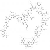  Calcitonin, Salmon 