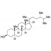  (24S)-Campestanol 