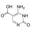  5-Carboxycytosine 