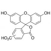  5(6)-Carboxyfluorescein 