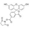  5-Carboxyfluorescein-N-hydroxy 