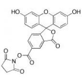  5-Carboxyfluorescein-N-hydroxy 