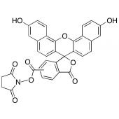  5-(6)-Carboxynaphthofluoro 