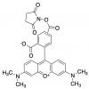  5(6)-Carboxytetramethylrhoda 